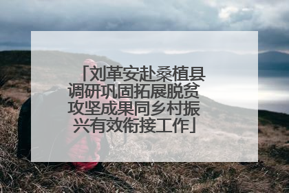 刘革安赴桑植县调研巩固拓展脱贫攻坚成果同乡村振兴有效衔接工作