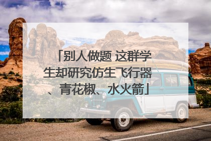 别人做题 这群学生却研究仿生飞行器、青花椒、水火箭