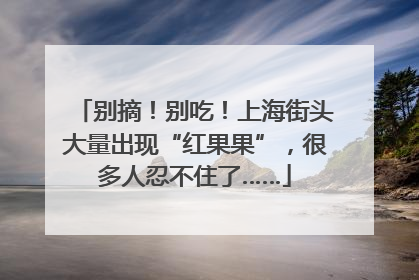别摘！别吃！上海街头大量出现“红果果”，很多人忍不住了……