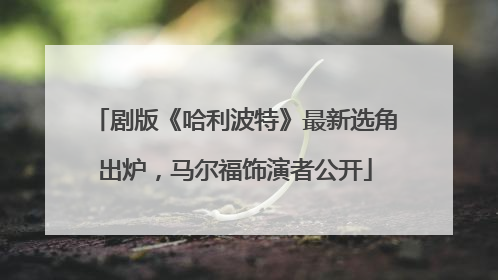 剧版《哈利波特》最新选角出炉，马尔福饰演者公开