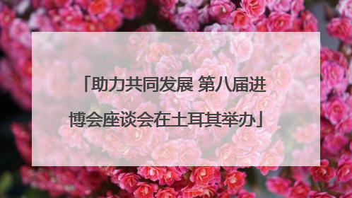 助力共同发展 第八届进博会座谈会在土耳其举办