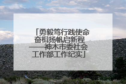 勇毅笃行践使命 奋楫扬帆启新程——神木市委社会工作部工作纪实