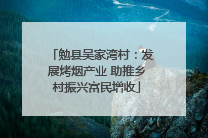勉县吴家湾村：发展烤烟产业 助推乡村振兴富民增收
