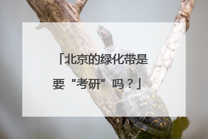 北京的绿化带是要“考研”吗？