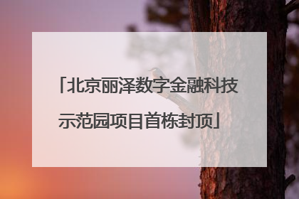 北京丽泽数字金融科技示范园项目首栋封顶