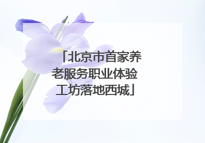 北京市首家养老服务职业体验工坊落地西城