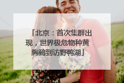 北京：首次集群出现，世界极危物种黄胸鹀到访野鸭湖