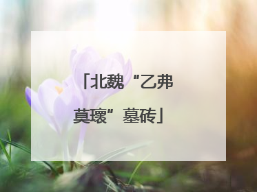 北魏“乙弗莫瓌”墓砖
