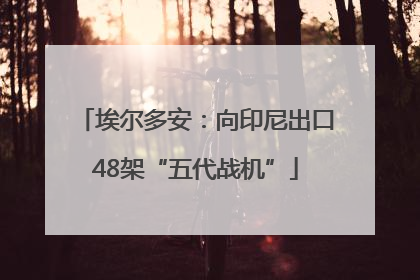 埃尔多安：向印尼出口48架“五代战机”
