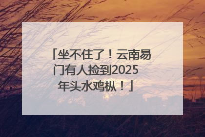 坐不住了！云南易门有人捡到2025年头水鸡枞！