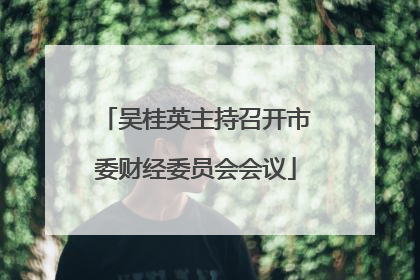 吴桂英主持召开市委财经委员会会议