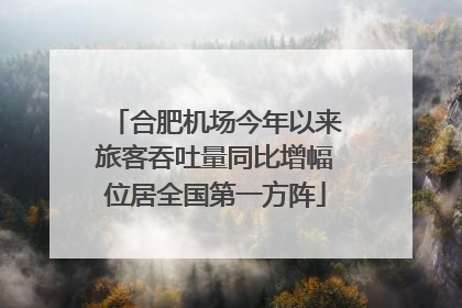 合肥机场今年以来旅客吞吐量同比增幅位居全国第一方阵