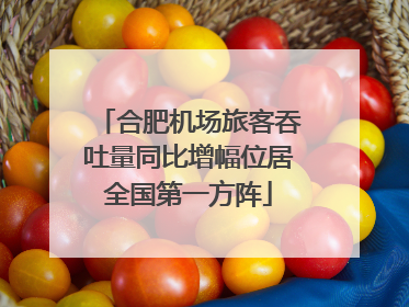 合肥机场旅客吞吐量同比增幅位居全国第一方阵