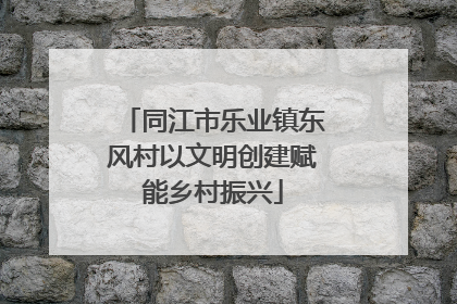 同江市乐业镇东风村以文明创建赋能乡村振兴