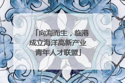 向海而生，临港成立海洋高新产业青年人才联盟