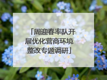 周迎春率队开展优化营商环境整改专题调研