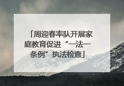 周迎春率队开展家庭教育促进“一法一条例”执法检查