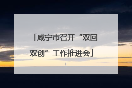 咸宁市召开“双回双创”工作推进会