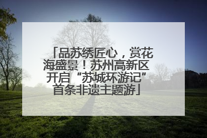 品苏绣匠心，赏花海盛景！苏州高新区开启“苏城环游记”首条非遗主题游