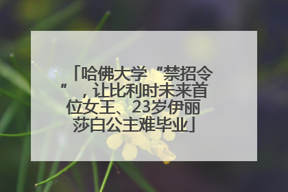 哈佛大学“禁招令”，让比利时未来首位女王、23岁伊丽莎白公主难毕业