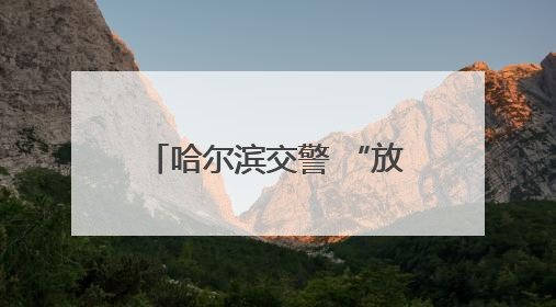 哈尔滨交警 “放大招”！道路交通设施全面升级，出行体验直线飙升