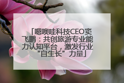 嗯噢哇科技CEO窦飞鹏：共创旅游专业能力认知平台，激发行业“自生长”力量