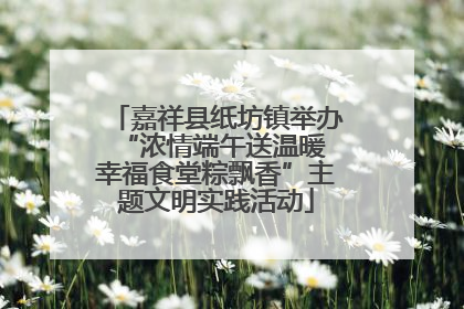嘉祥县纸坊镇举办“浓情端午送温暖 幸福食堂粽飘香”主题文明实践活动