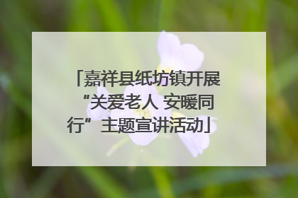 嘉祥县纸坊镇开展“关爱老人 安暖同行”主题宣讲活动