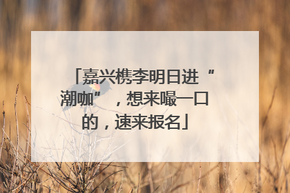 嘉兴槜李明日进“潮咖”，想来嘬一口的，速来报名