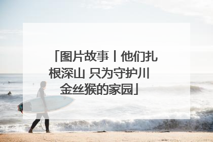 图片故事丨他们扎根深山 只为守护川金丝猴的家园
