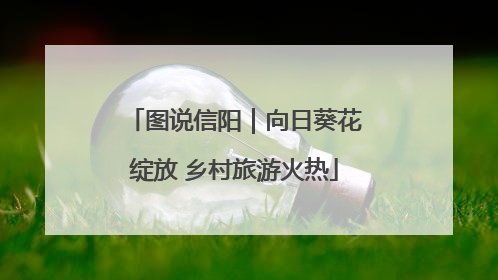 图说信阳｜向日葵花绽放 乡村旅游火热