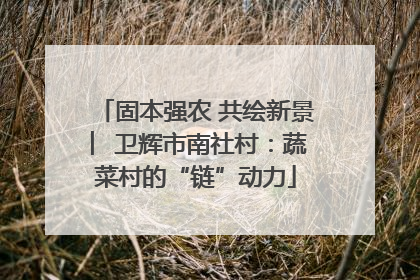 固本强农 共绘新景 ︳卫辉市南社村：蔬菜村的“链”动力