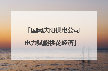 国网庆阳供电公司电力赋能桃花经济