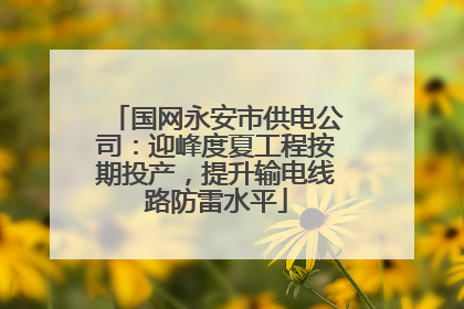 国网永安市供电公司：迎峰度夏工程按期投产，提升输电线路防雷水平