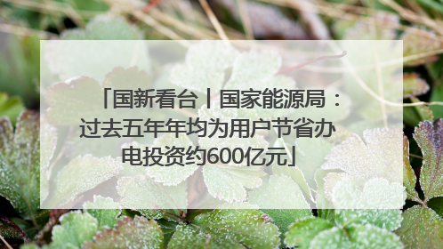 国新看台丨国家能源局：过去五年年均为用户节省办电投资约600亿元