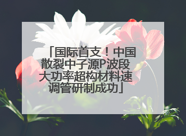 国际首支！中国散裂中子源P波段大功率超构材料速调管研制成功