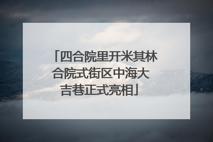 四合院里开米其林 合院式街区中海大吉巷正式亮相