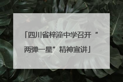 四川省梓潼中学召开“两弹一星”精神宣讲