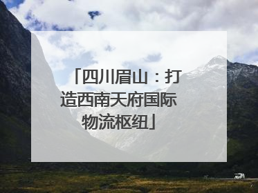 四川眉山：打造西南天府国际物流枢纽
