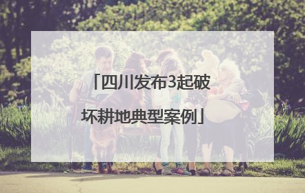 四川发布3起破坏耕地典型案例