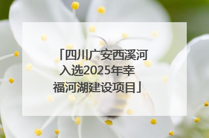 四川广安西溪河入选2025年幸福河湖建设项目