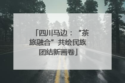 四川马边：“茶旅融合”共绘民族团结新画卷