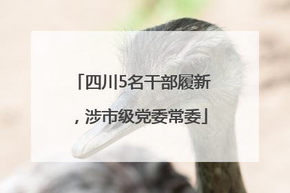 四川5名干部履新，涉市级党委常委