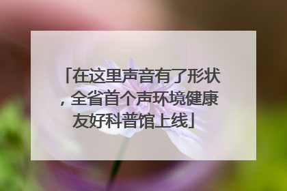 在这里声音有了形状，全省首个声环境健康友好科普馆上线