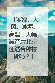 寒潮、大风、冰雹、高温，大幅减产后北京还适合种樱桃吗？