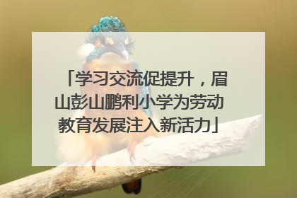 学习交流促提升，眉山彭山鹏利小学为劳动教育发展注入新活力