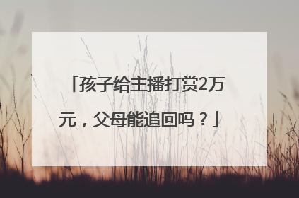 孩子给主播打赏2万元，父母能追回吗？