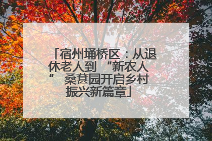 宿州埇桥区：从退休老人到 “新农人” 桑葚园开启乡村振兴新篇章