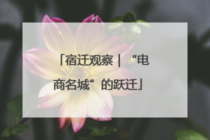 宿迁观察｜“电商名城”的跃迁