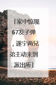 家中惊现67发子弹，遂宁两兄弟主动来到派出所